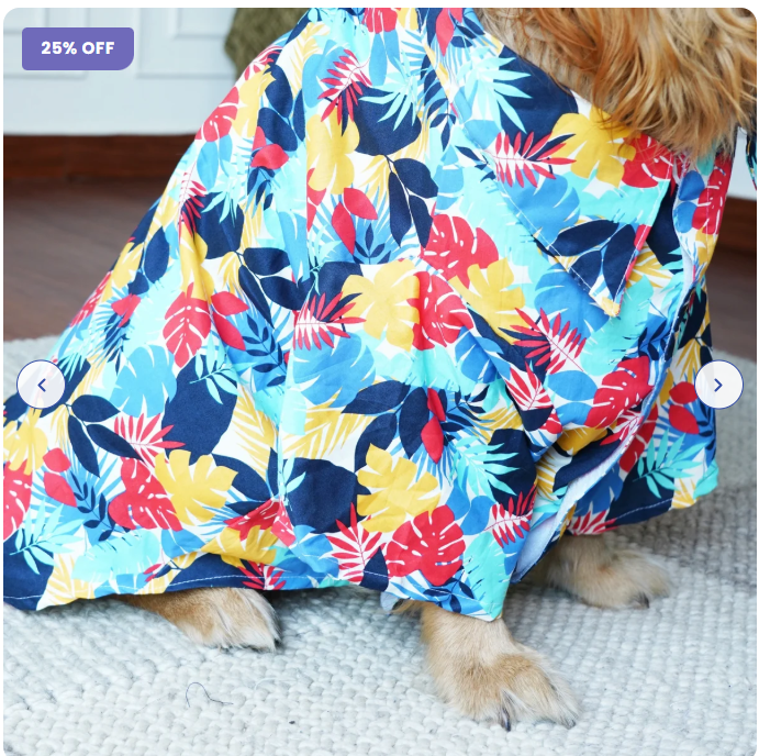 Pet Clothing in India: How to Choose the Perfect Outfit for Your Pet